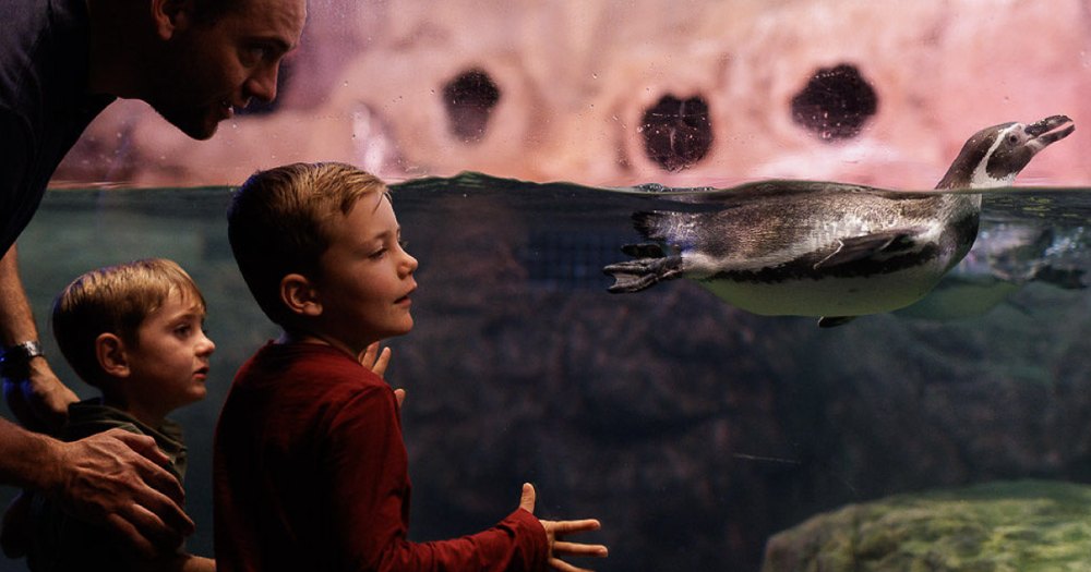 Aquarium of Niagara business photo