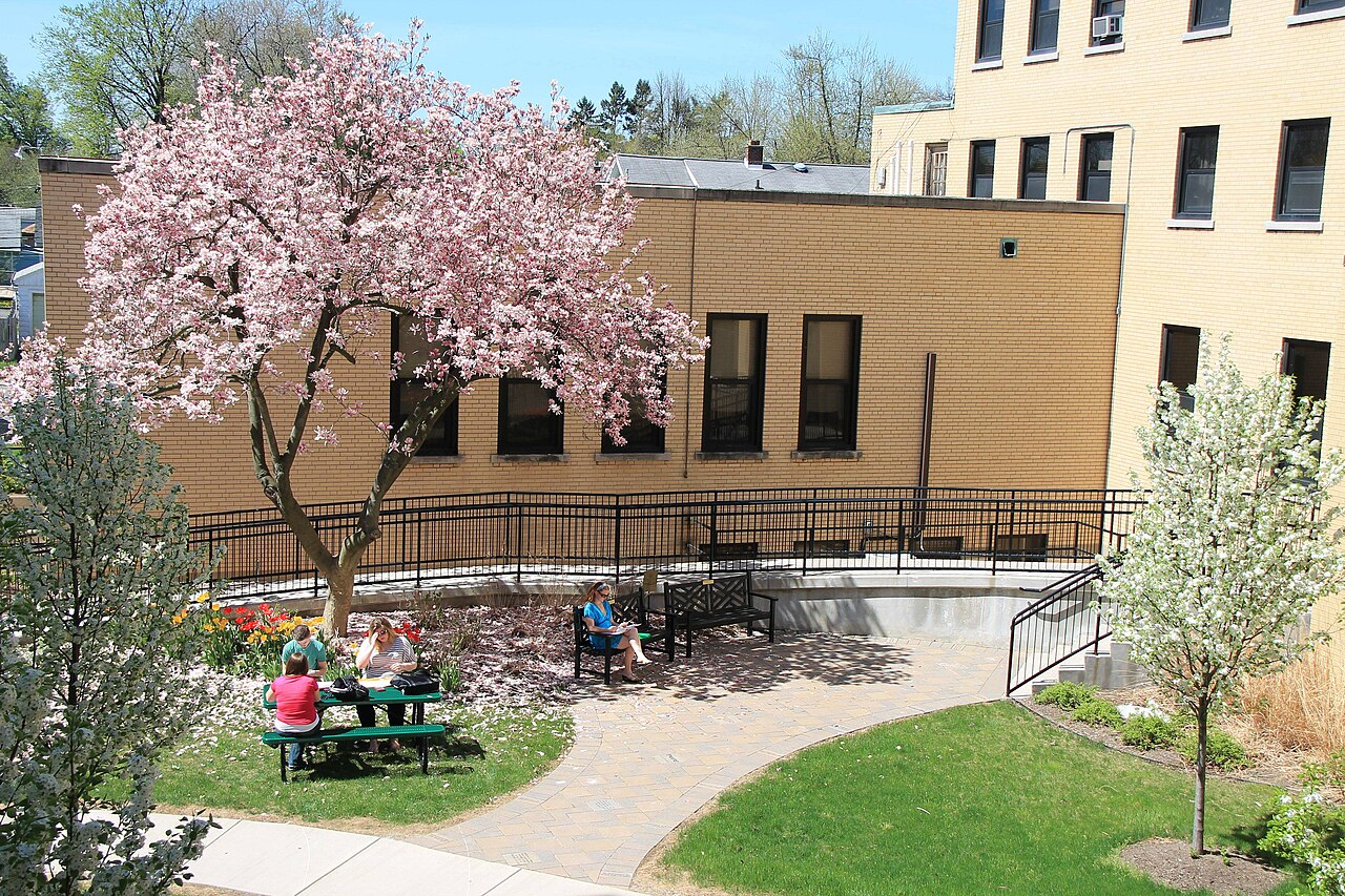 Trocaire College courtyard